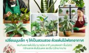 ชวนช้อปต้นไม้ฟอกอากาศ เติมความสดชื่นให้ทุกมุมโปรด ในงาน “Plant Garden” @พาราไดซ์ พาร์ค