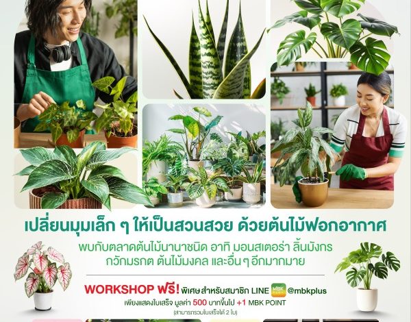 ชวนช้อปต้นไม้ฟอกอากาศ เติมความสดชื่นให้ทุกมุมโปรด ในงาน “Plant Garden” @พาราไดซ์ พาร์ค