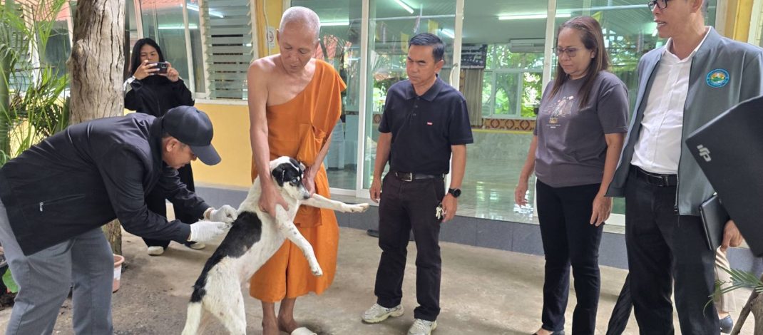 โคราชยืนยันพบสุนัขติดเชื้อพิษสุนัขบ้า เร่งปูพรมฉีดวัคซีนคุมเข้มพื้นที่หนองปลิงใหม่ หลังชาวบ้านถูกกัดเจ็บ 4 ราย