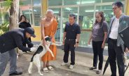 โคราชยืนยันพบสุนัขติดเชื้อพิษสุนัขบ้า เร่งปูพรมฉีดวัคซีนคุมเข้มพื้นที่หนองปลิงใหม่ หลังชาวบ้านถูกกัดเจ็บ 4 ราย