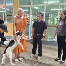 โคราชยืนยันพบสุนัขติดเชื้อพิษสุนัขบ้า เร่งปูพรมฉีดวัคซีนคุมเข้มพื้นที่หนองปลิงใหม่ หลังชาวบ้านถูกกัดเจ็บ 4 ราย