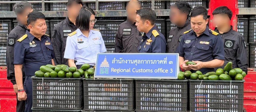 สำนักงานศุลกากรภาคที่ 3 สกัดอะโวคาโดเถื่อน!!!