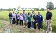 เจียไต๋ จัด Field Day เปิดแปลงโชว์ “โซลูชันนาข้าว“ สุพรรณบุรี ชูผลผลิตดีท่ามกลางสภาพอากาศแปรปรวน
