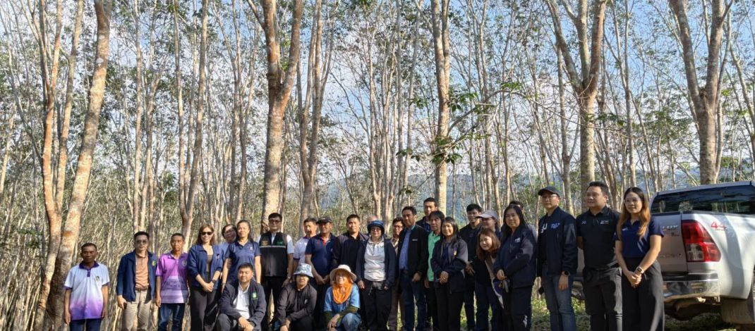 กยท. ลงพื้นที่น่าน ติดตามวิกฤตโรคใบร่วงยางพารา ผนึกเครือข่ายนักวิจัยเร่งหาแนวทางแก้ไขอย่างยั่งยืน